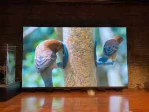 LED Screen Rental Miami | Indoor & Outdoor Display Rental Services